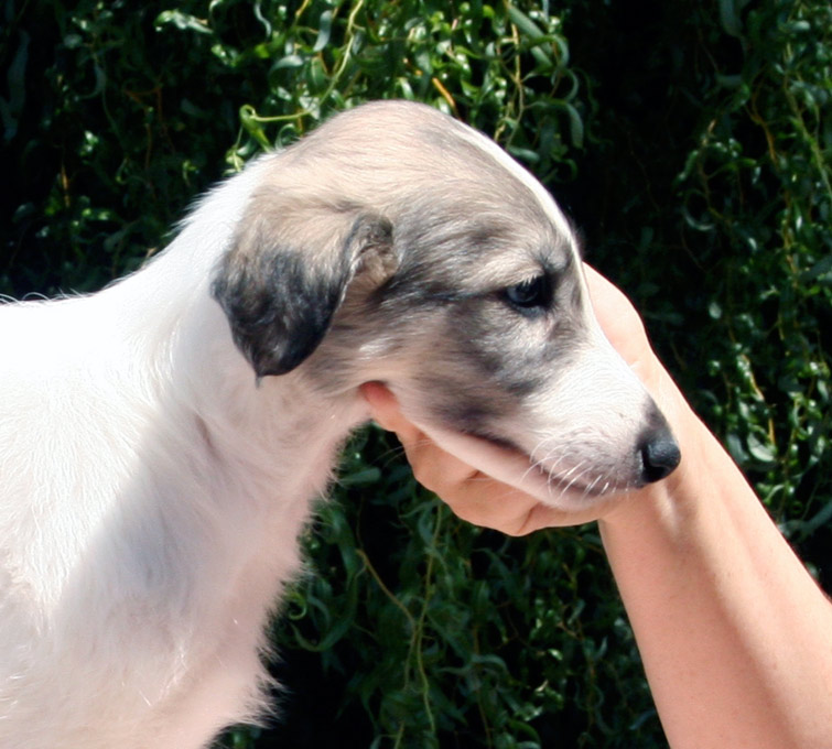 Surf Spots - Girl 2 Profile